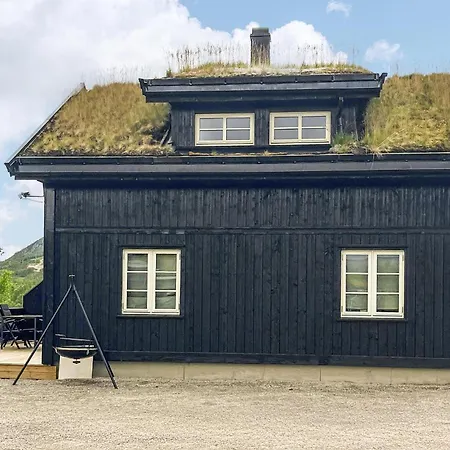 3 Bedroom Stunning In I Setesdal *