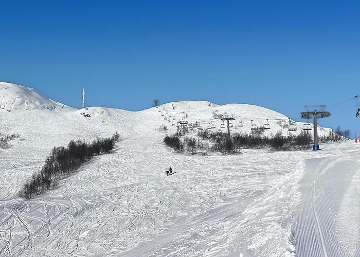 3 Bedroom Stunning In I Setesdal Hovden (Aust-Agder)