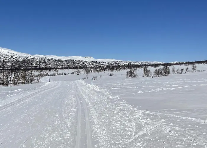 3 Bedroom Stunning In I Setesdal